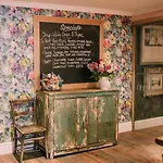 The Swan And