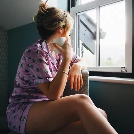 The Swan And Newby Bridge